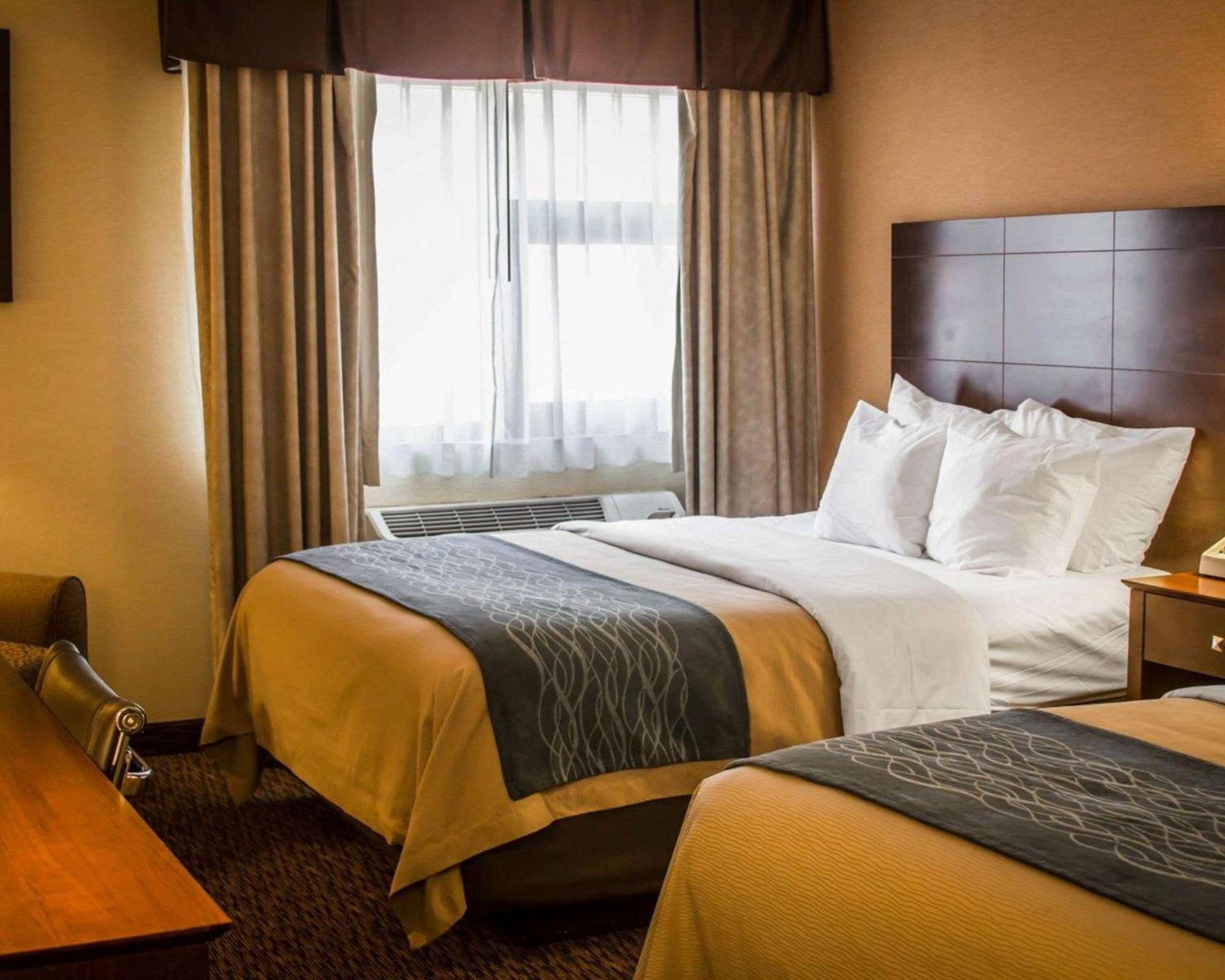 Queen Room with Two Queen Beds - Non-Smoking