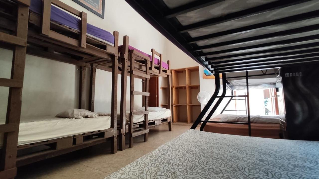 Bed in 8-Bed Mixed Dormitory Room