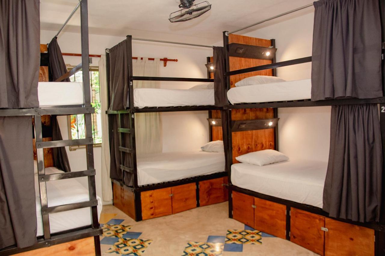 Bed 8-Bed Mixed Dormitory Room,1325647942:JPEG