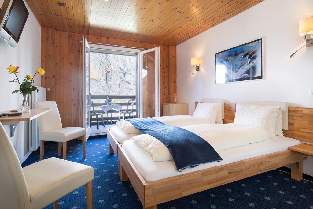 Double Room Balcony Mountain View