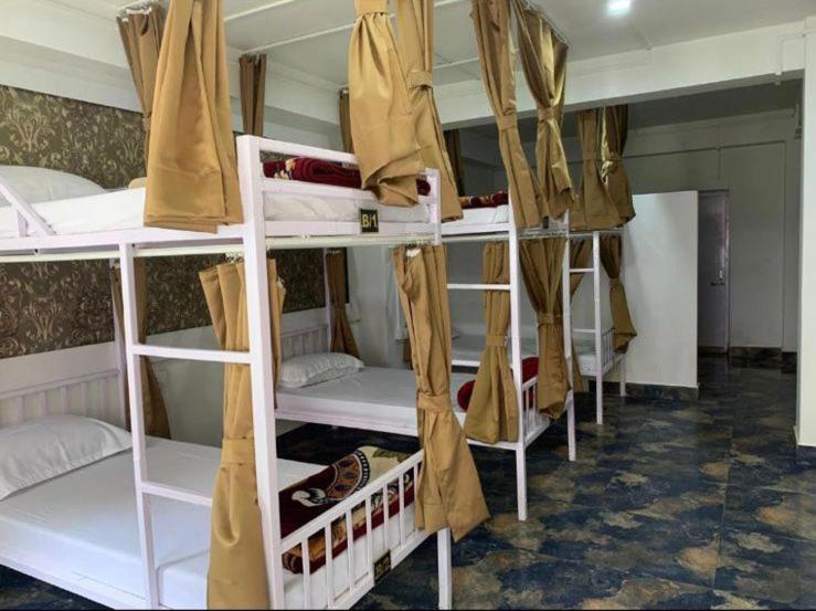 Bunk Bed in Mixed Dormitory Room