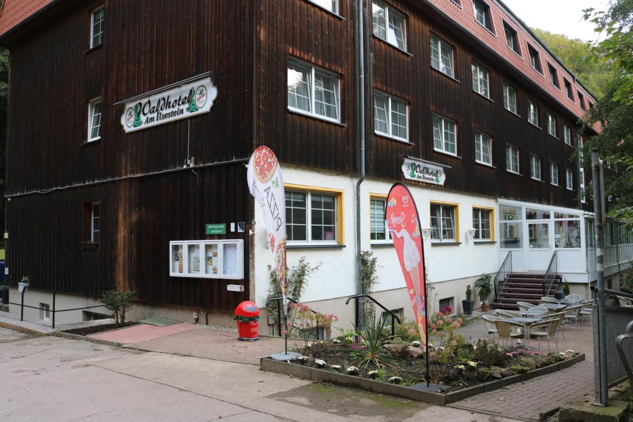 Einzelzimmer (Hunde erlaubt)