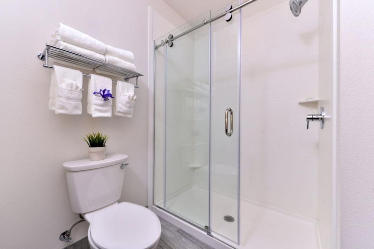 Habitación Estándar con ducha accesible en silla de ruedas - cama extragrande - Adaptada para personas con movilidad reducida