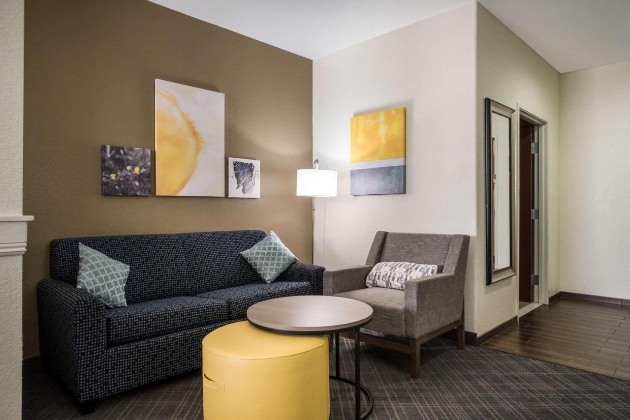 Deluxe King Suite with Sofa Bed - Non-Smoking
