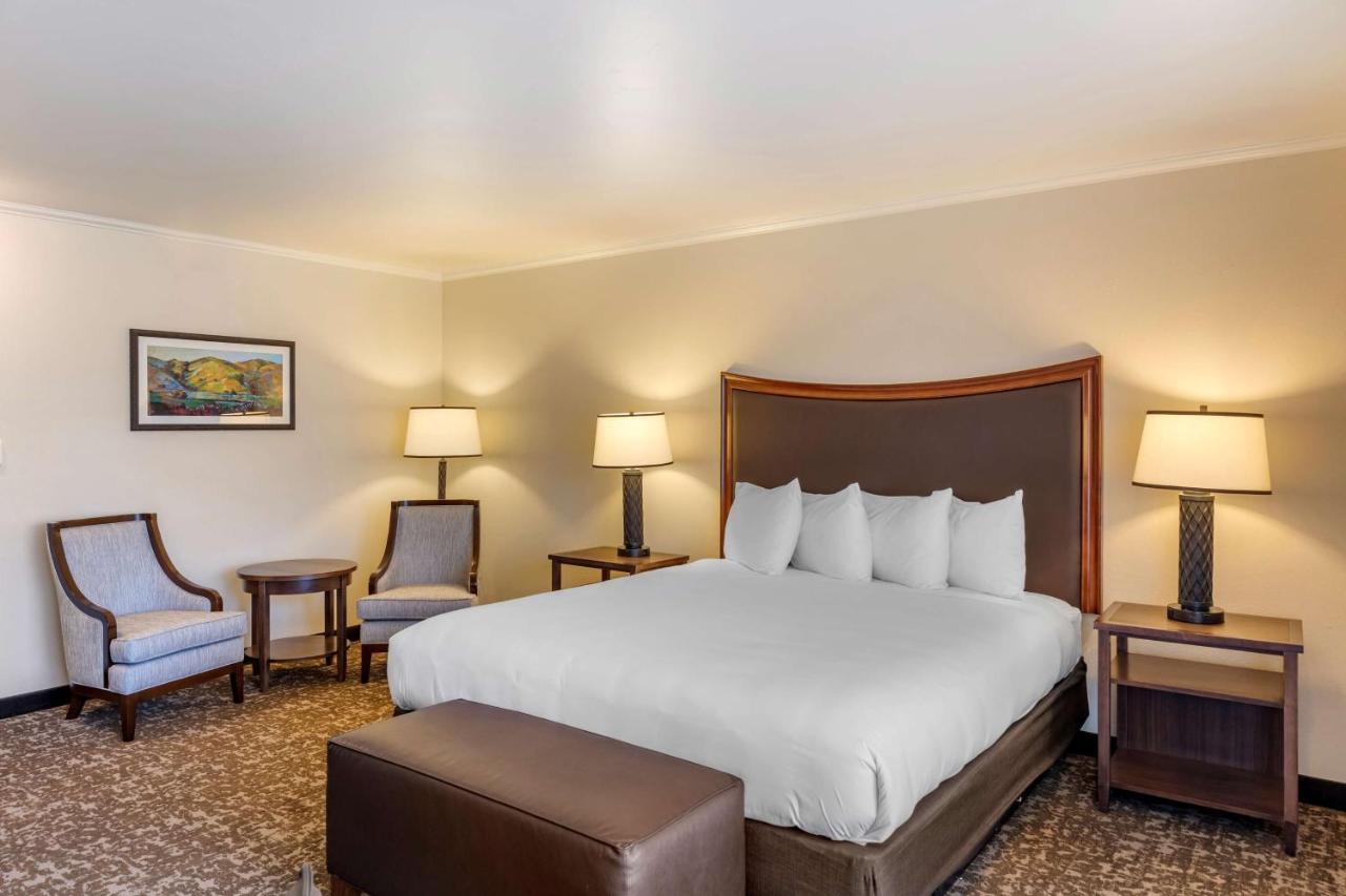 Habitación Doble amplia con cama extragrande - No fumadores