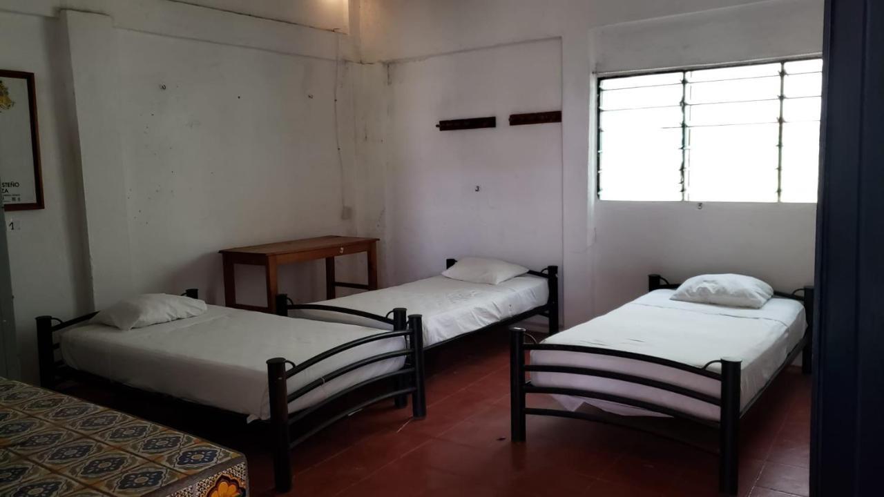 Cama en habitación compartida mixta de 8 camas