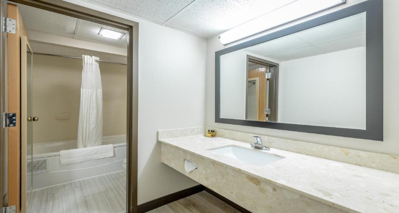 Double room -Non-smoking / Pet friendly