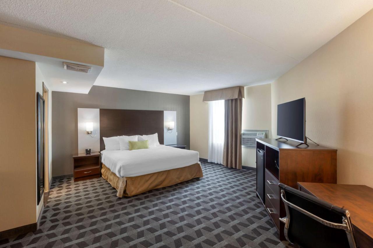 King Suite with Sofa Bed
