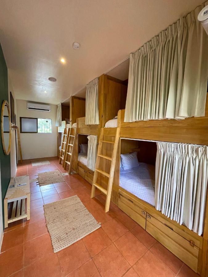 Bed in 6-Bed Dormitory Room