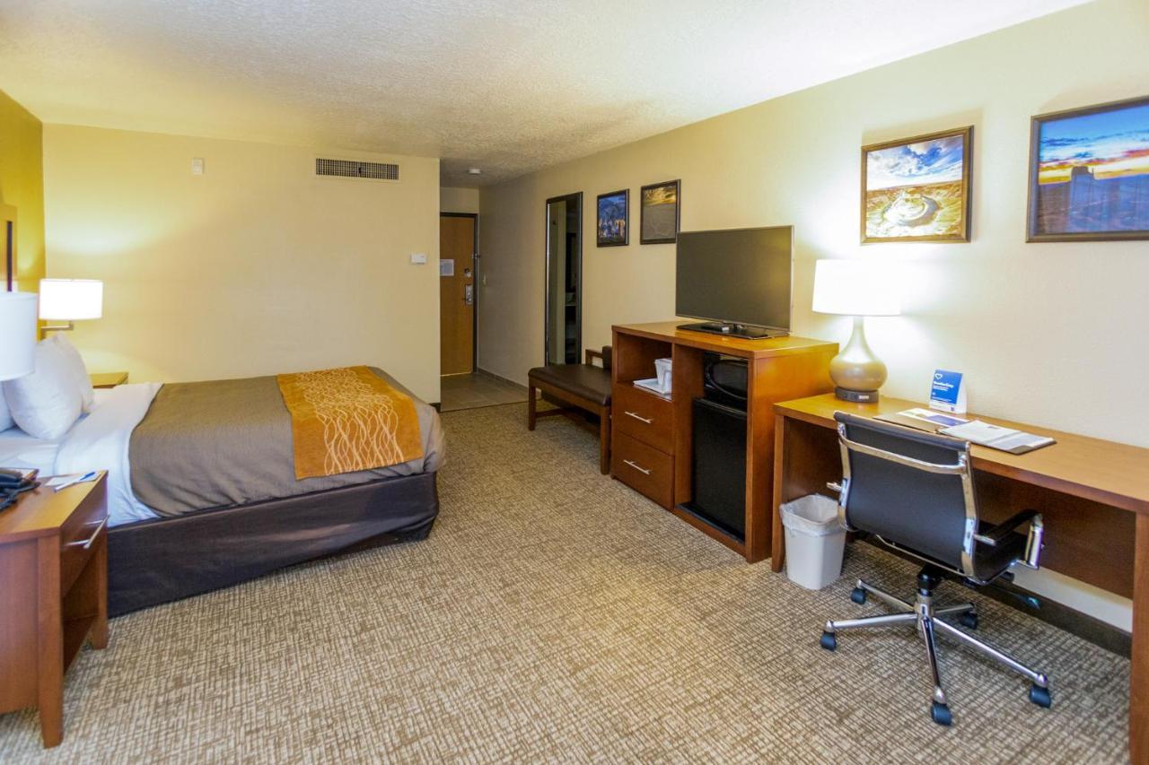 Habitación - No fumadores - Cama grande
