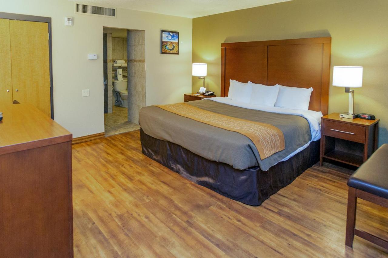 Habitación con cama extragrande adaptada para persona de movilidad reducida - No fumadores