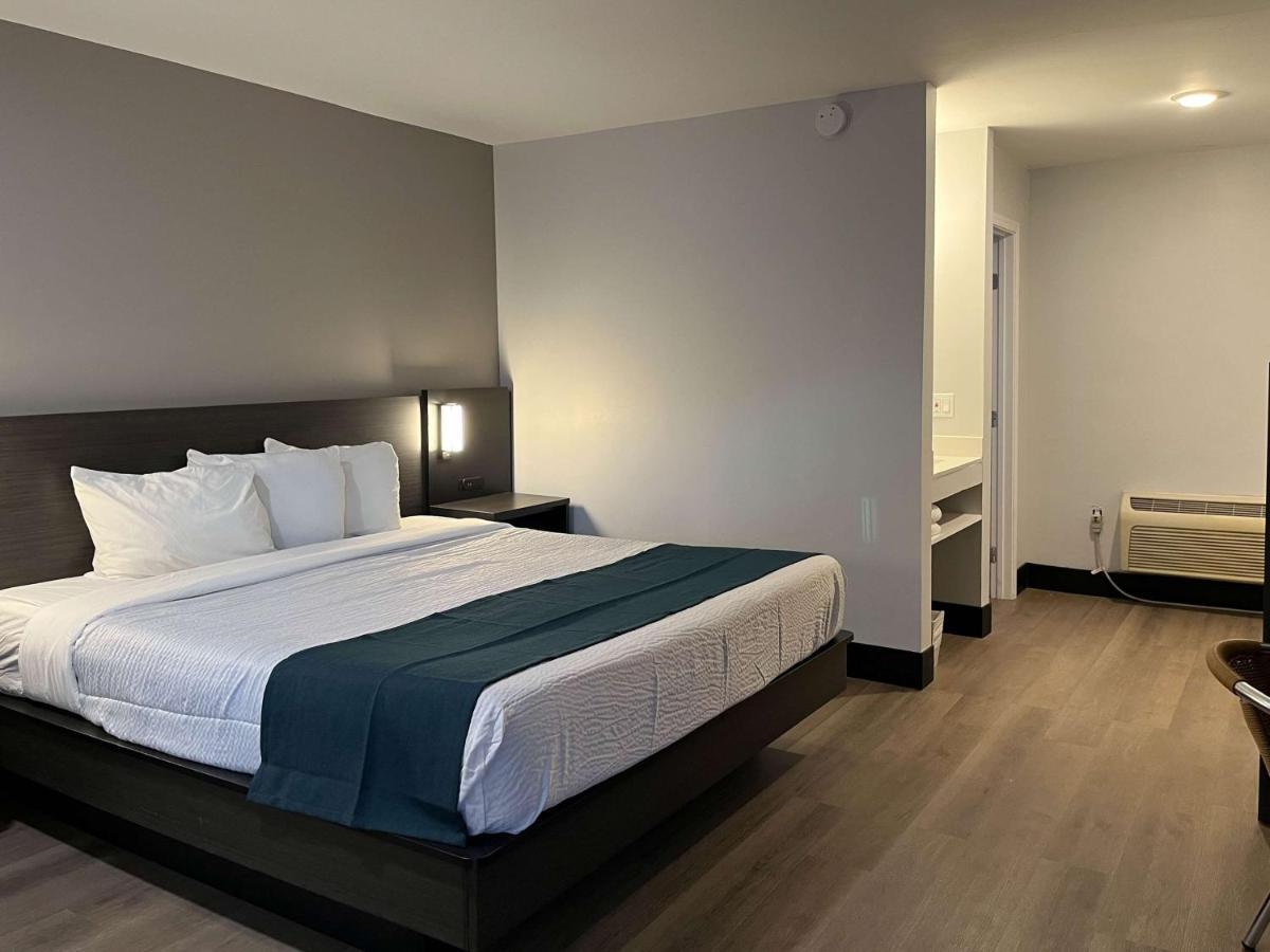 King Room with Roll-in Shower - Disability Access - Non-Smoking