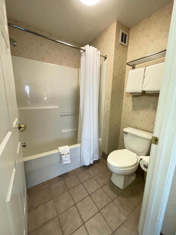 King Studio Suite