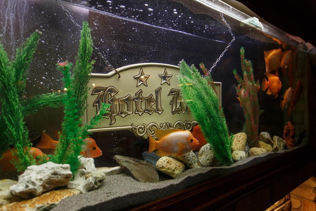 Apartment (3 Adults),133007052:JPEG