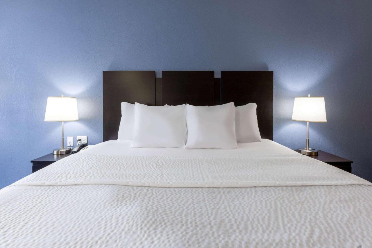 King Room with Roll-In Shower - Mobility Access/Non-Smoking