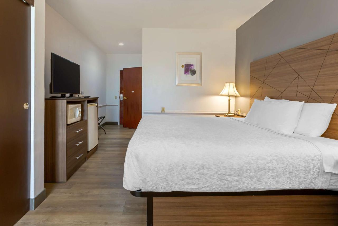 King Room with Roll-in Shower - Disability Access/Non-Smoking