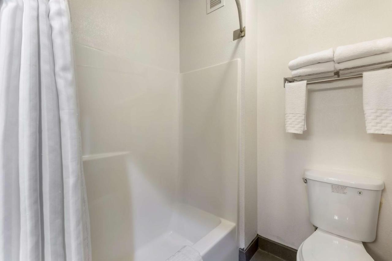 King Suite with Three King Beds and Sofa Bed - Non-Smoking