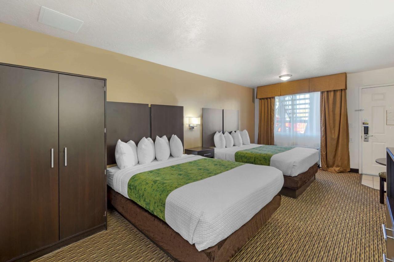 Queen Room Two Queen Beds Roll Shower Disability Access or Non-Smoking,1334144399:JPEG