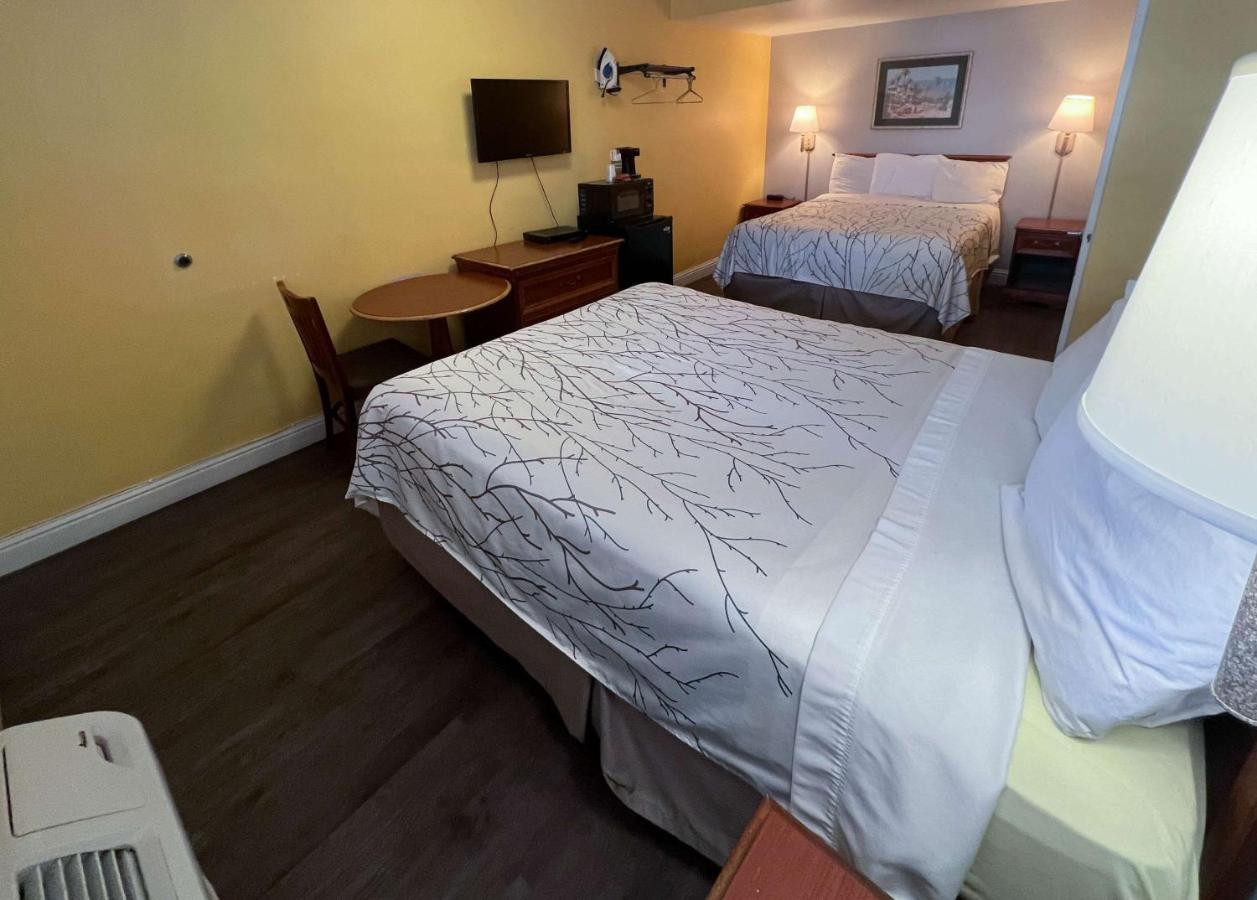 Comfort Triple Room - Non-Smoking