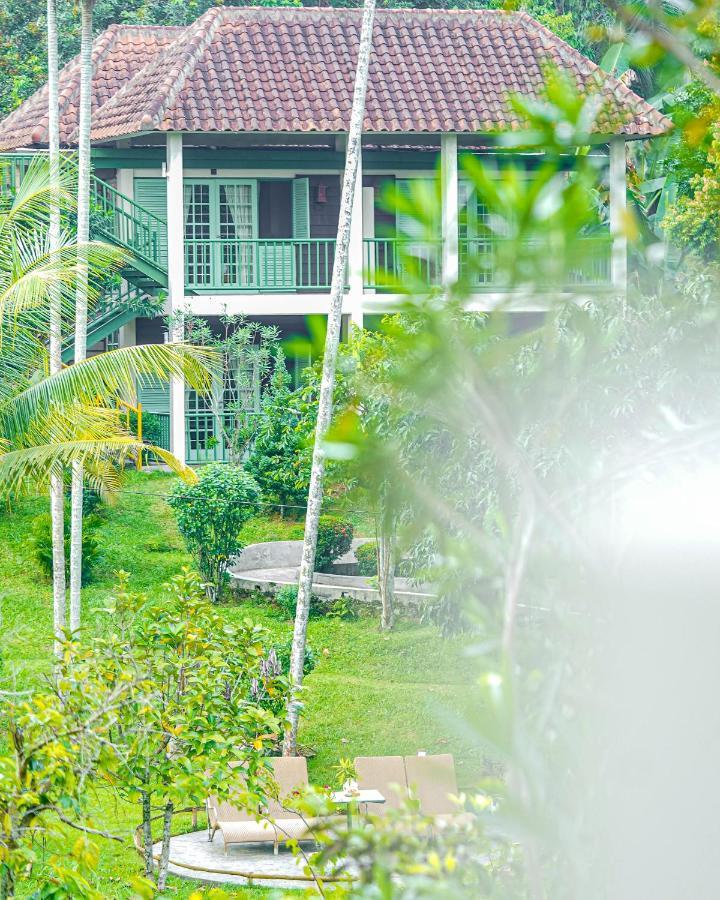 Penawaran Istimewa - Paket Wisata Bukit Lawang di Cottage Deluxe