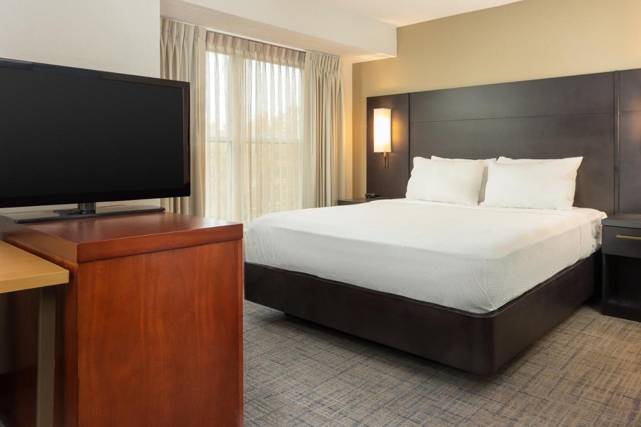 Studio King Suite with Sofa Bed