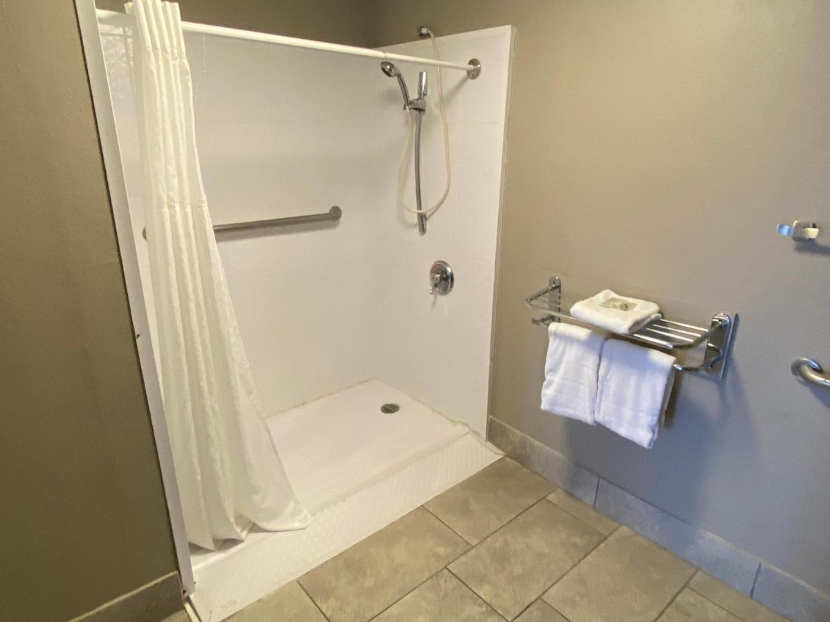 Deluxe King Room Disabiltiy Access Roll-In Shower Non-Smoking