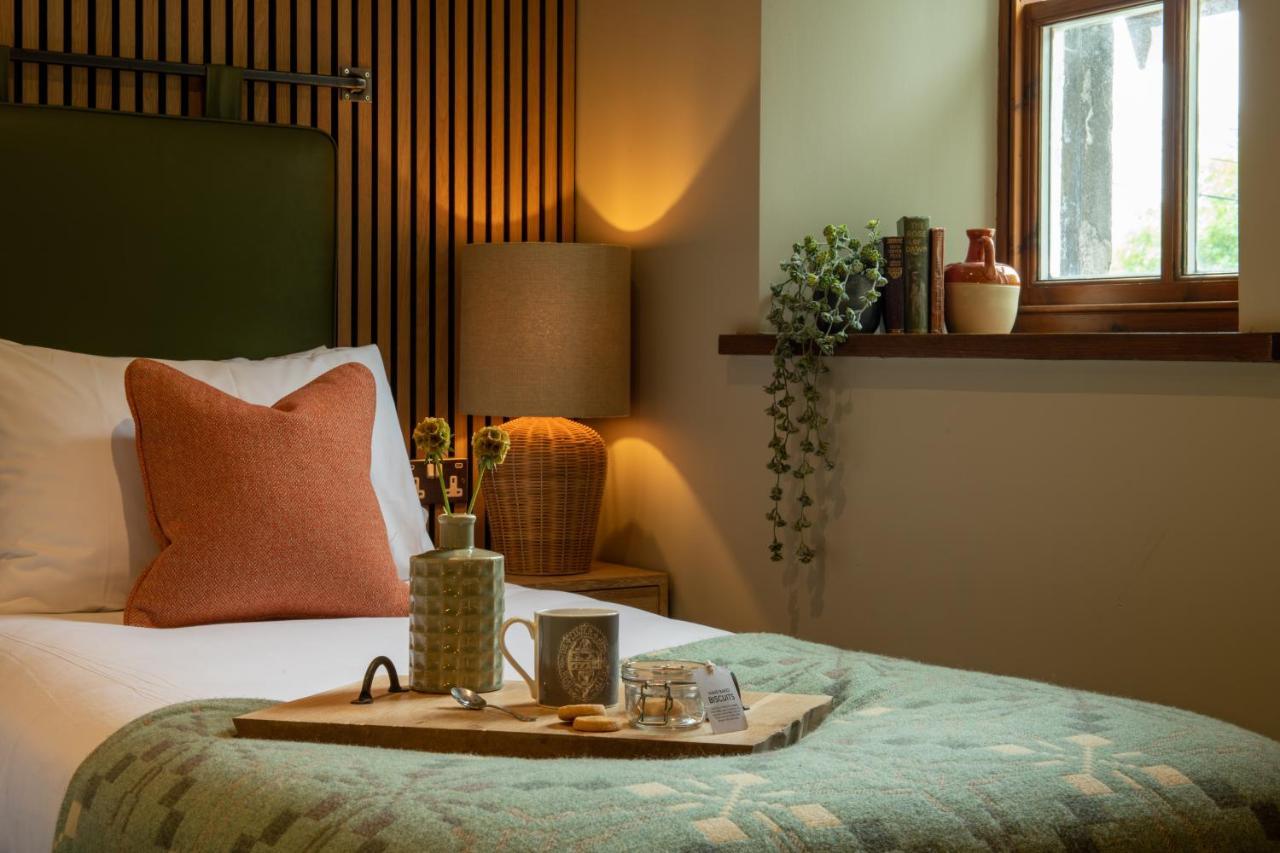 Cozy Twin Room