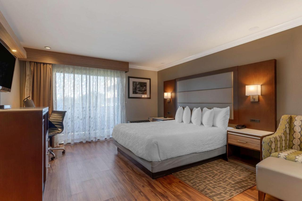 King Room,1355990960:JPEG