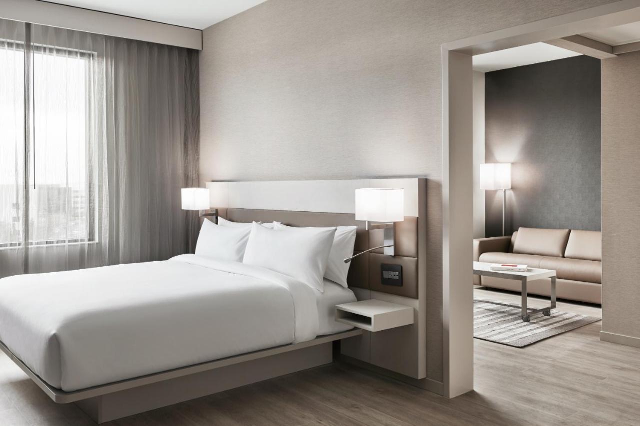 Suite de 1 dormitorio con cama extragrande y sofá cama