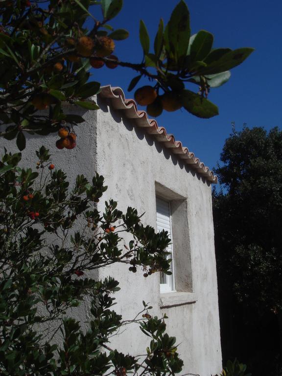 Villa 1 Chambre