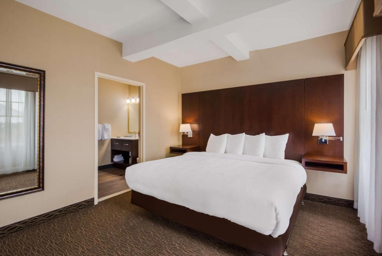 King Suite with Roll-In Shower, Sofa Bed and Kitchenette - Disability Access/Non-Smoking
