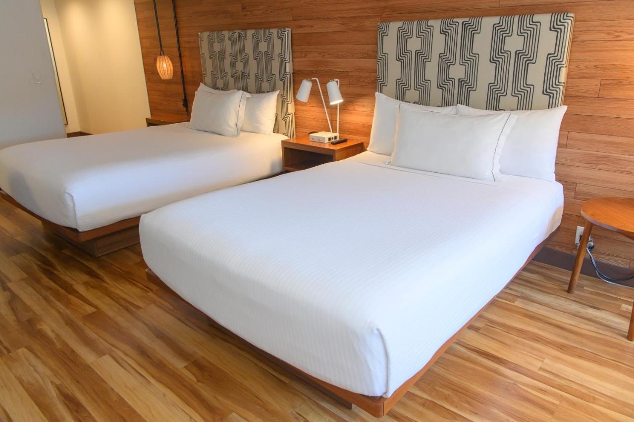 Double or Twin Room Disability Access,1370525033:JPEG
