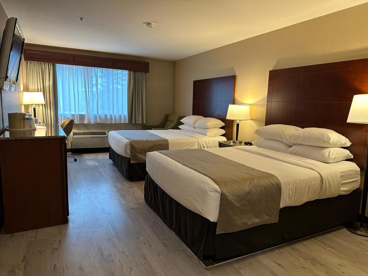 Queen Room with Two Queen Beds - Pet Friendly/Non-Smoking