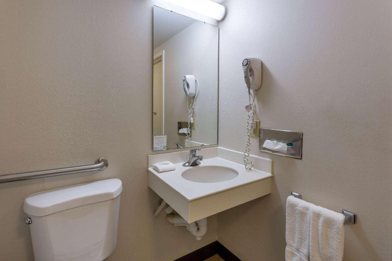 1 Queen, Deluxe, Mobility Access Room, Roll-In Shower, Pet-Friendly, Non-Smoking