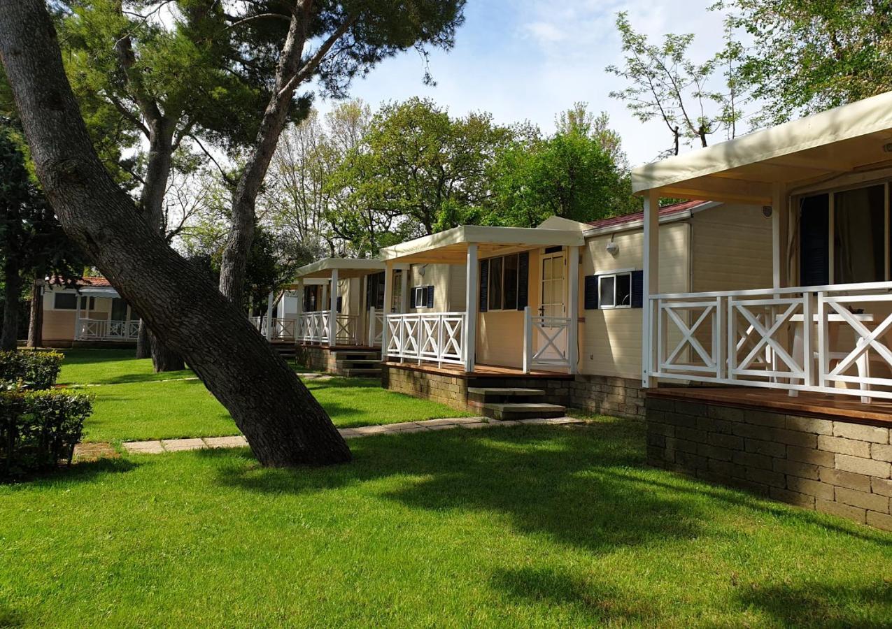 Easy Mobile Home
