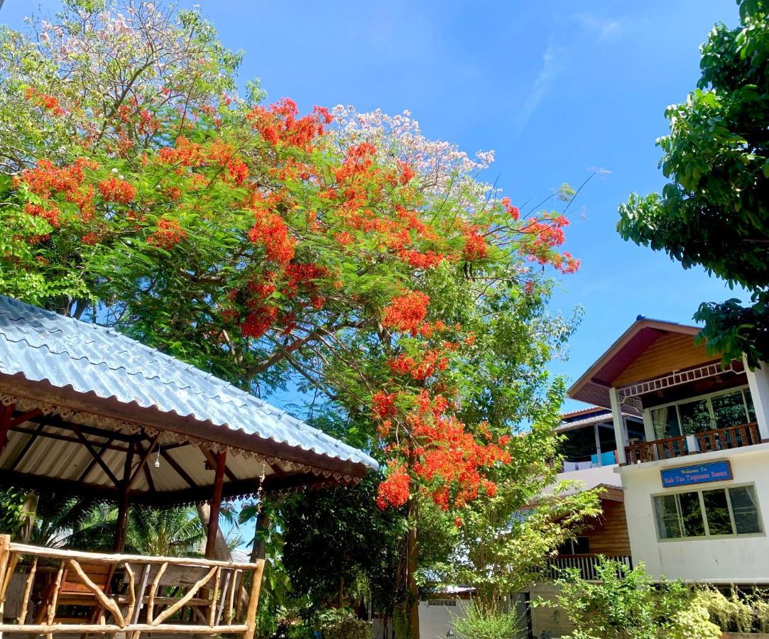 Deluxe Double or Twin room with AC