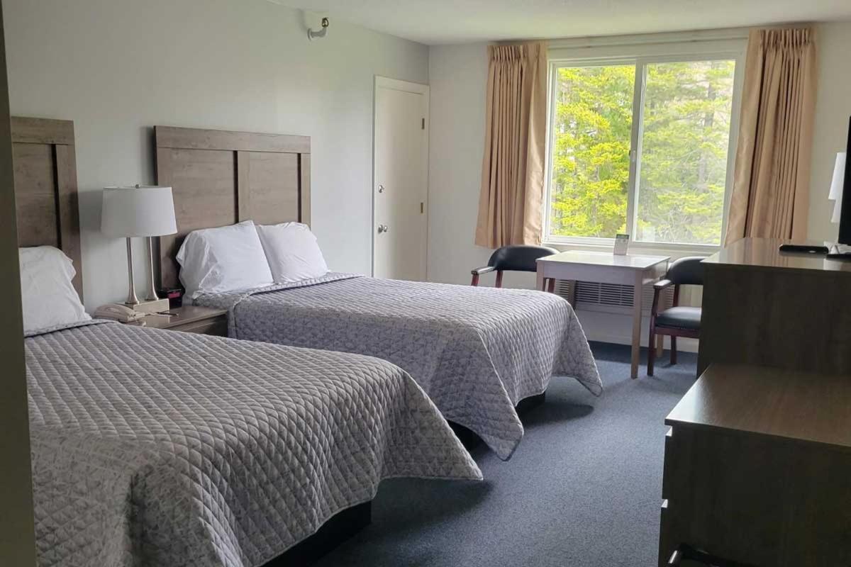 Standard Double Room with Forest View