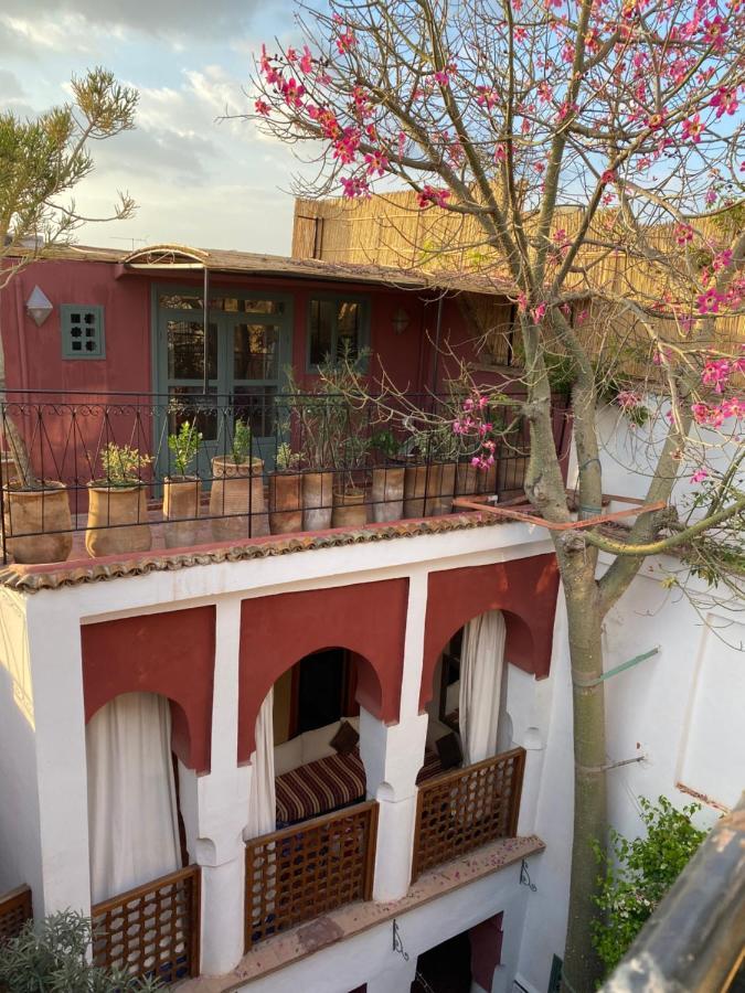 Double Room with Terrace