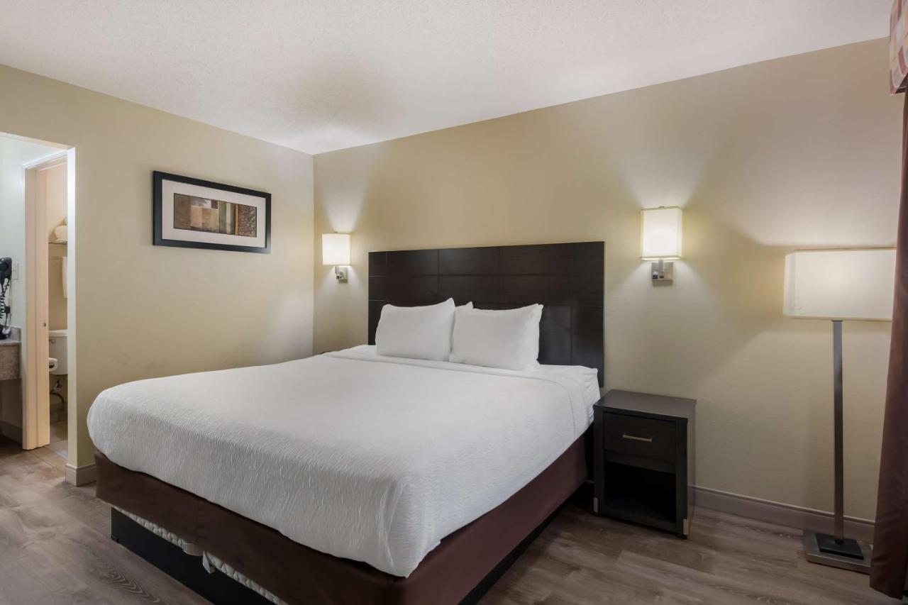 King Suite with Sofa Bed - Non-Smoking