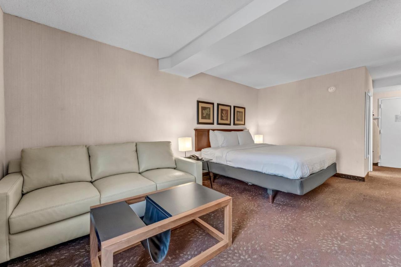 King Room Sofa Bed
