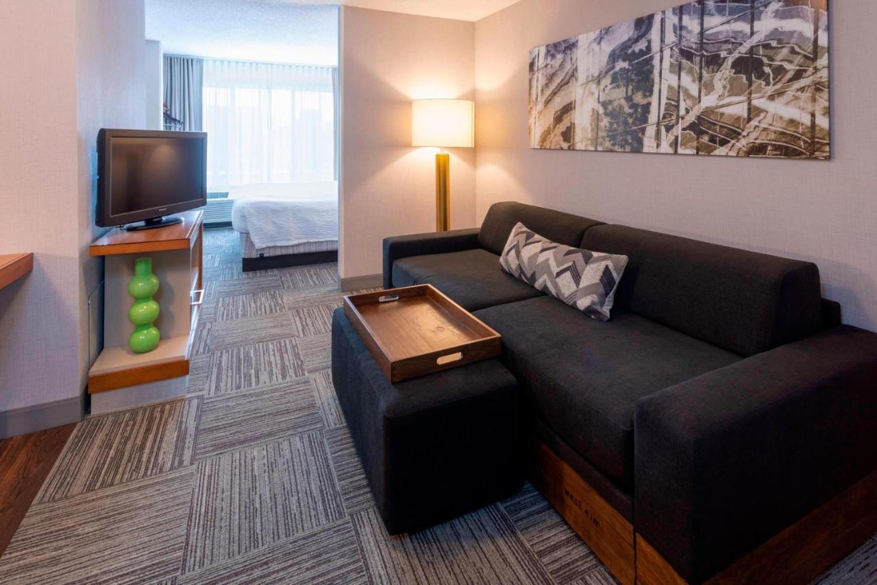 King Suite with Bathtub and Trundle Sofa - Mobility Access/Hearing Accessible
