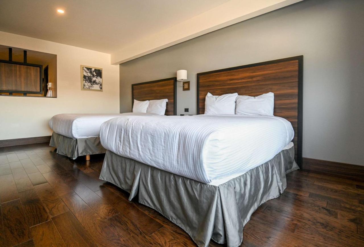 Standard Double Room with Two Double Beds - Non-Smoking