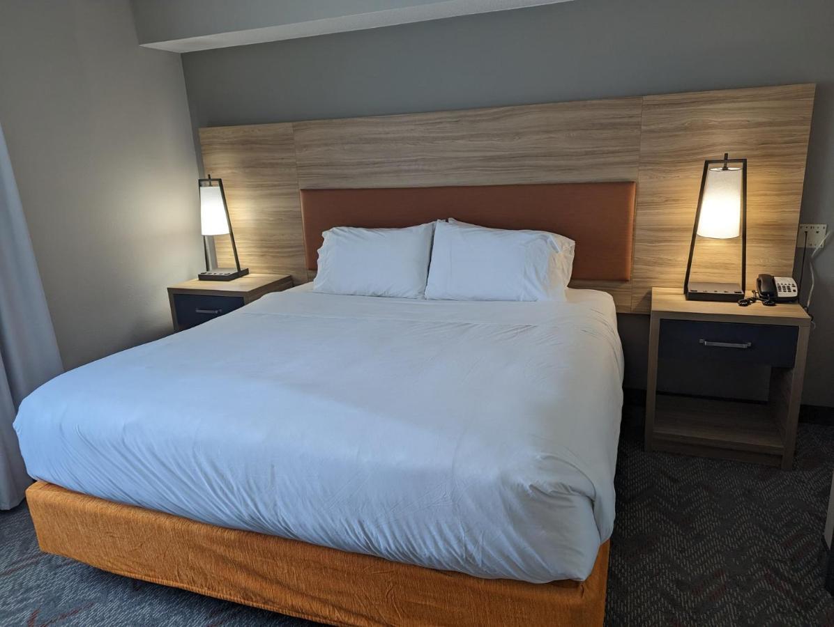One-Bedroom Suite with Sofa Bed