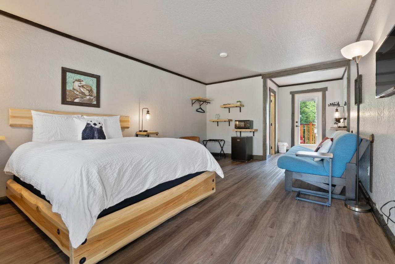 Otter Suite 4