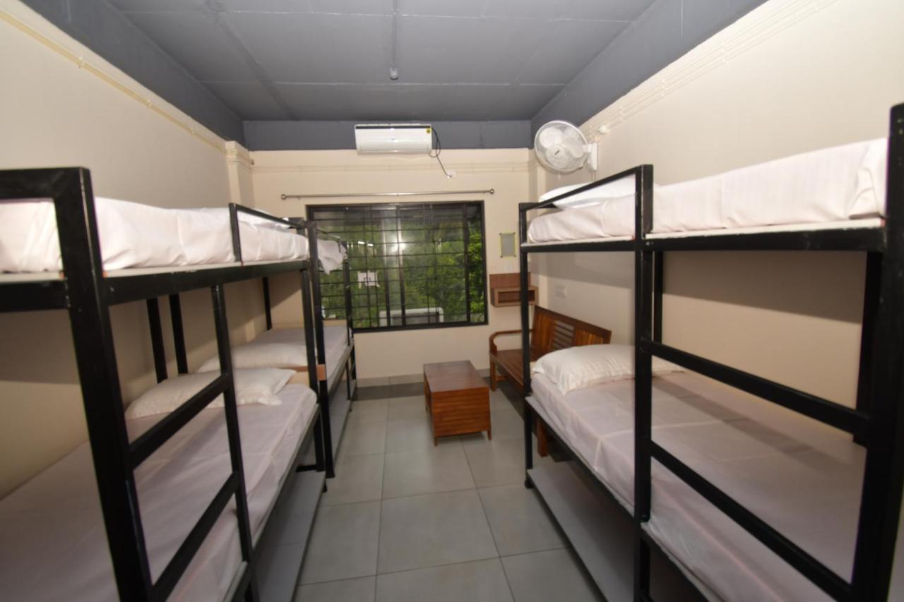 6-Bed Mixed Dormitory Room