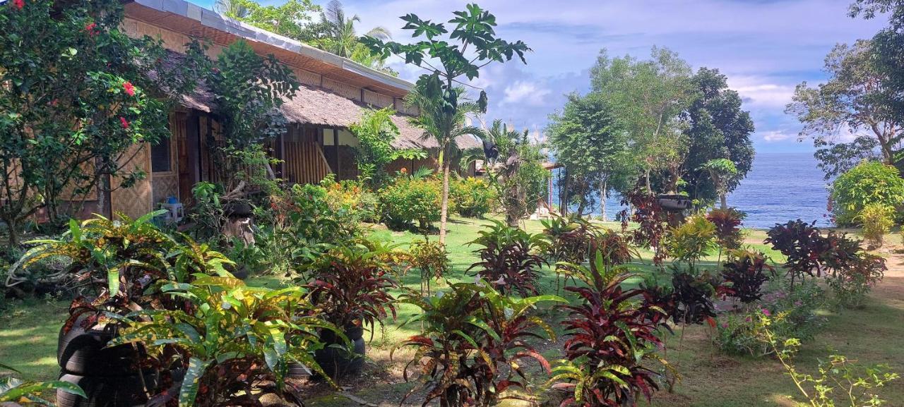 Standard Cottage