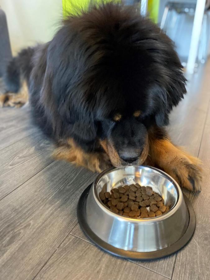Standard Double (Pets are allowed),1436152834:JPEG