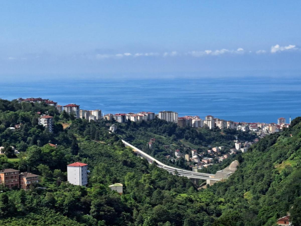 Junior Süit - Deniz Manzaralı