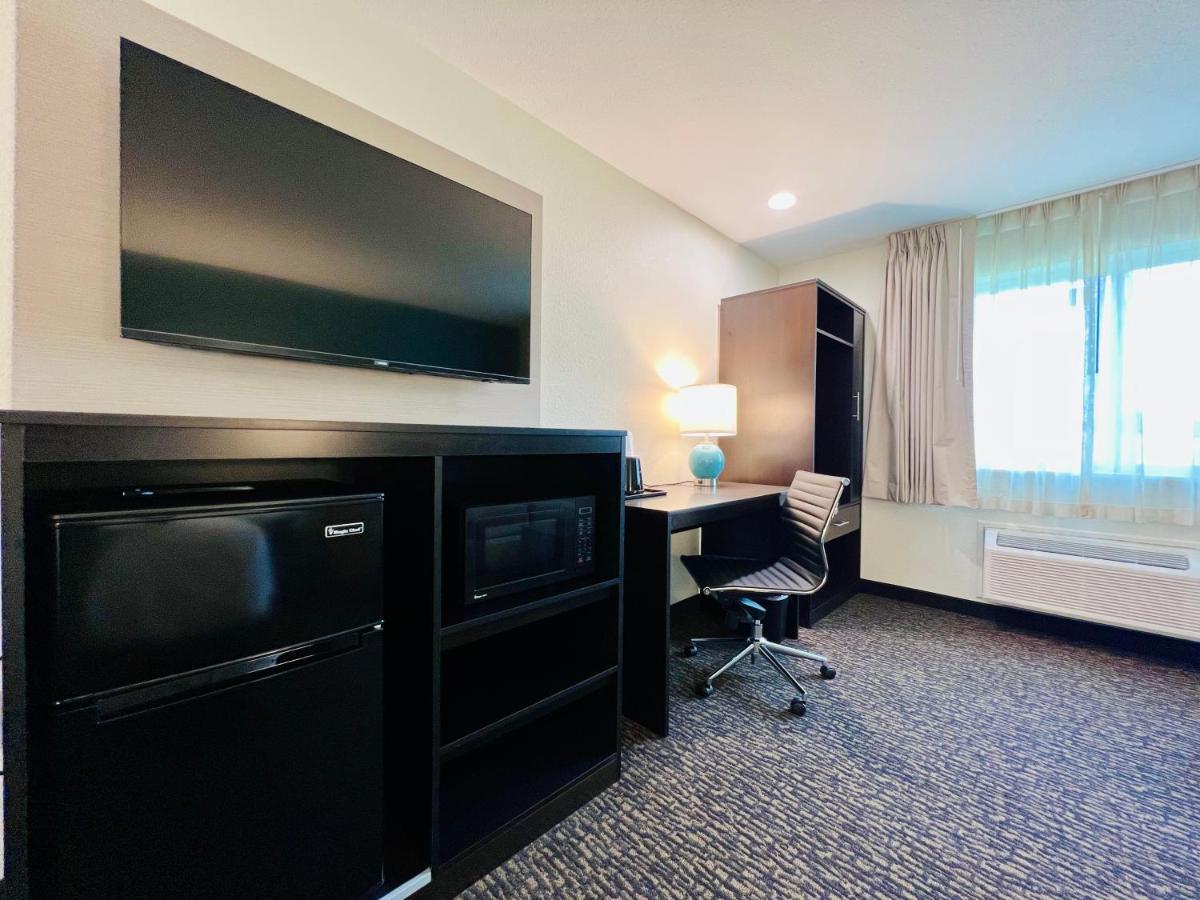 One Room Suite Sofa Non Smoking