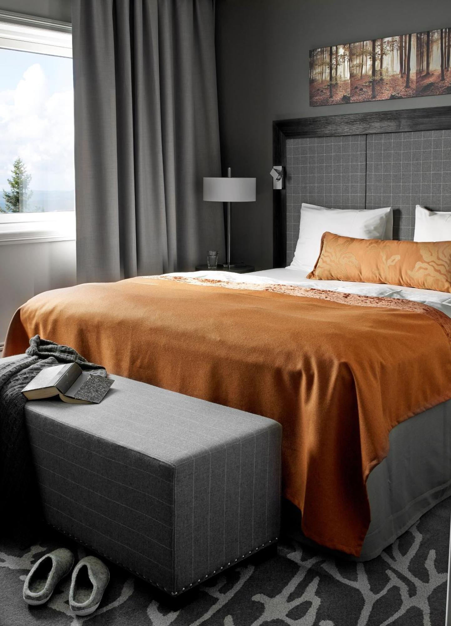 Superior Double Room Mountain View